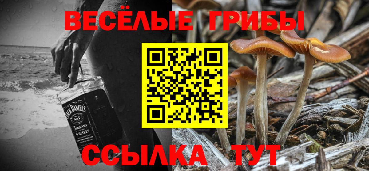 Псилоцибиновые грибы прущие грибы Стрежевой