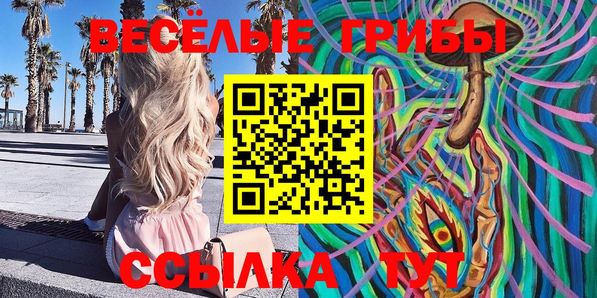 где купить   Псилоцибиновые грибы мицелий  Стрежевой  Вход с VPN  Галлюциногенные грибы Psilocybine cubensis 
